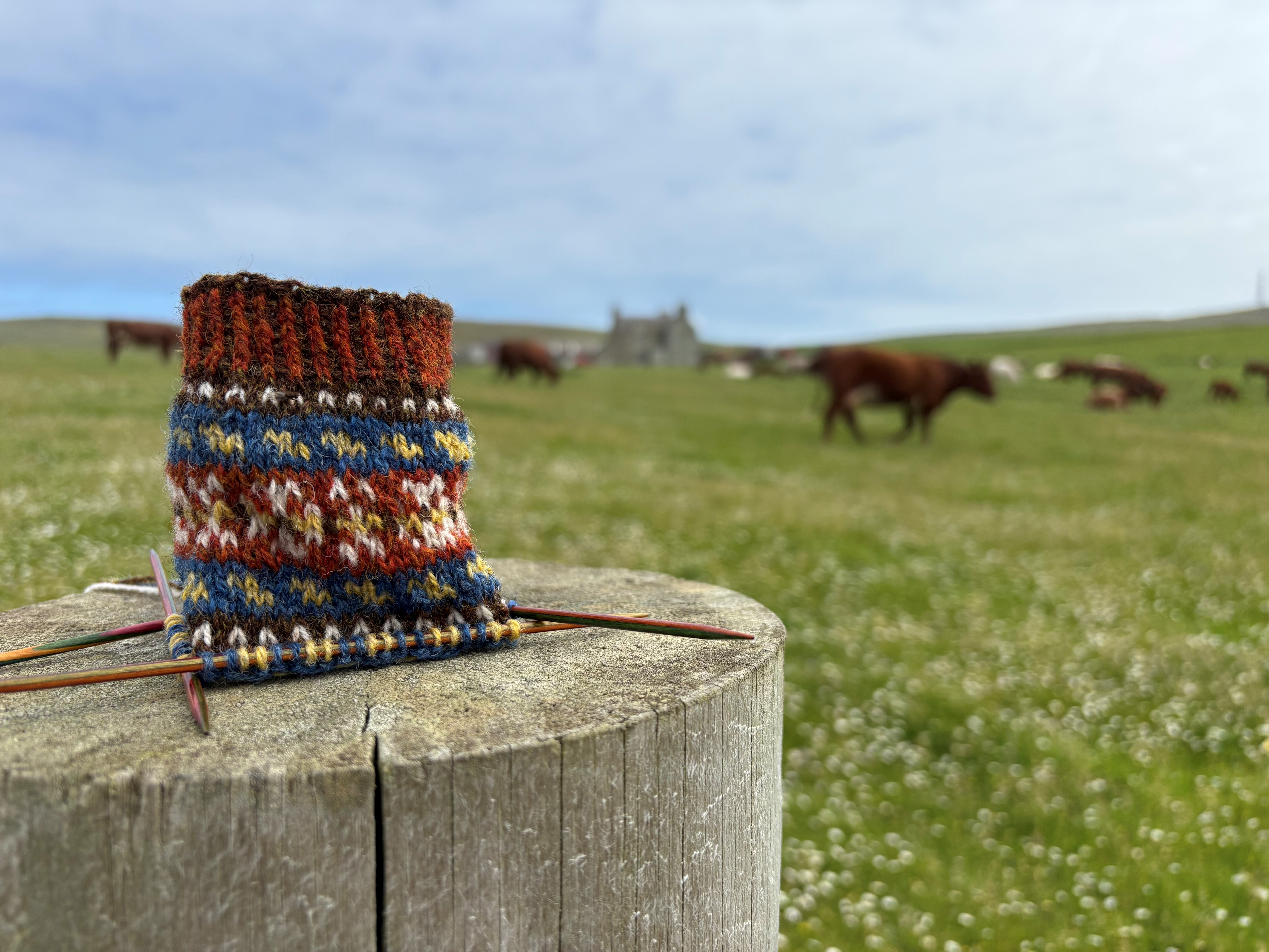 Strikketur til Shetland